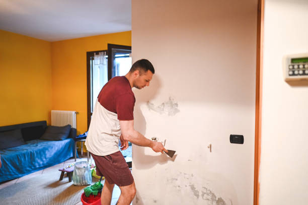 Best Home Mold Removal  in Massapequa, NY